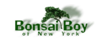 Logo Bonsai Boy of New York