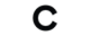 Logo Callas Milano