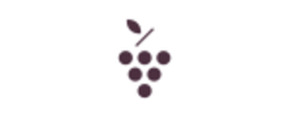 Logo Caudalie USA