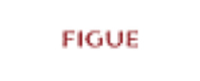 Logo Figue