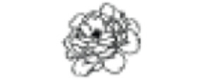 Logo La Peony