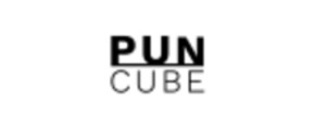 Logo PUNCUBE