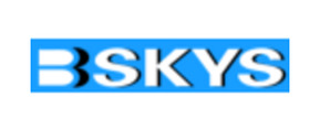 Logo Bisky Technology