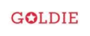 Logo Stylenavigator