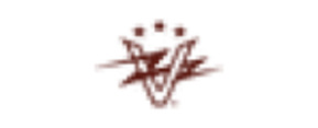 Logo Vintage Electric