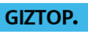 Logo Giztop